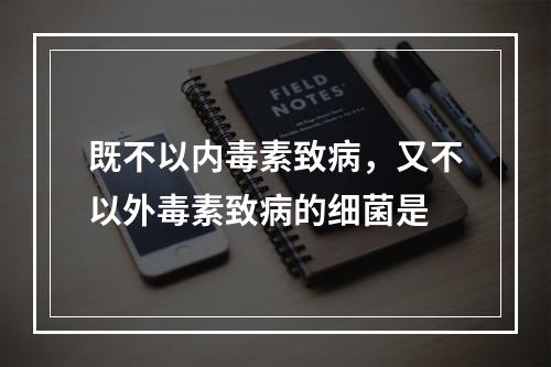 既不以内毒素致病，又不以外毒素致病的细菌是