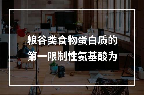 粮谷类食物蛋白质的第一限制性氨基酸为