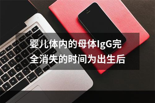 婴儿体内的母体IgG完全消失的时间为出生后