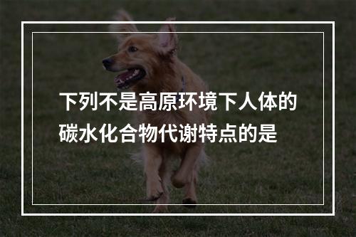 下列不是高原环境下人体的碳水化合物代谢特点的是