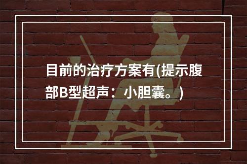 目前的治疗方案有(提示腹部B型超声：小胆囊。)