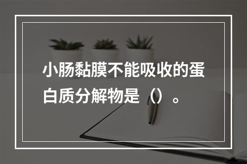 小肠黏膜不能吸收的蛋白质分解物是（）。