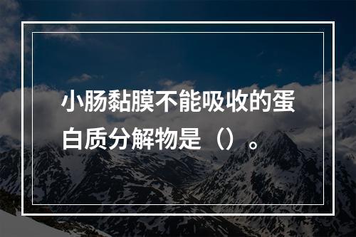 小肠黏膜不能吸收的蛋白质分解物是（）。