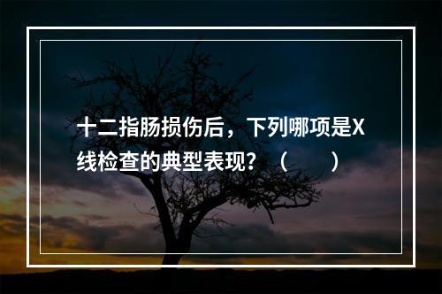 十二指肠损伤后，下列哪项是X线检查的典型表现？（　　）