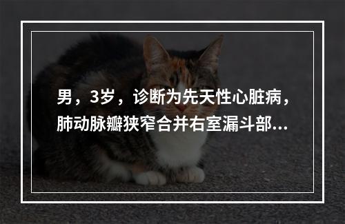 男，3岁，诊断为先天性心脏病，肺动脉瓣狭窄合并右室漏斗部狭窄