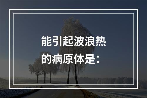 能引起波浪热的病原体是：