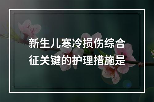 新生儿寒冷损伤综合征关键的护理措施是