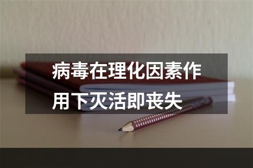 病毒在理化因素作用下灭活即丧失