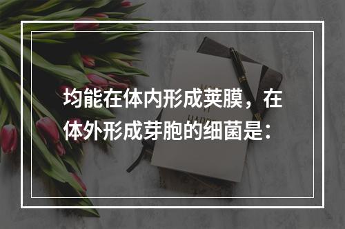 均能在体内形成荚膜，在体外形成芽胞的细菌是：