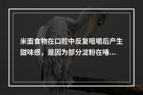 米面食物在口腔中反复咀嚼后产生甜味感，是因为部分淀粉在唾液淀