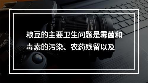 粮豆的主要卫生问题是霉菌和毒素的污染、农药残留以及