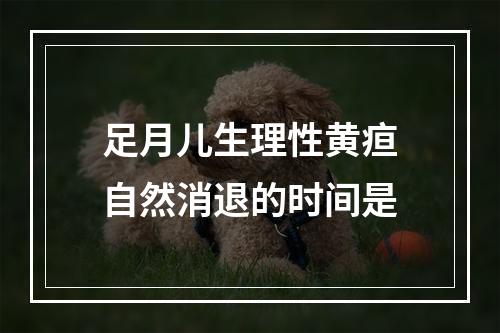 足月儿生理性黄疸自然消退的时间是