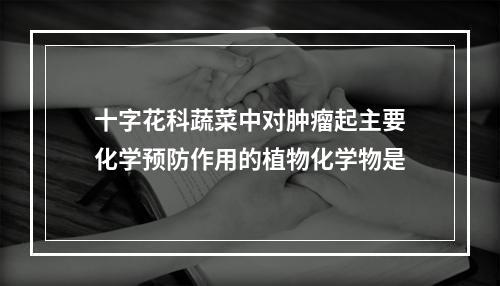 十字花科蔬菜中对肿瘤起主要化学预防作用的植物化学物是