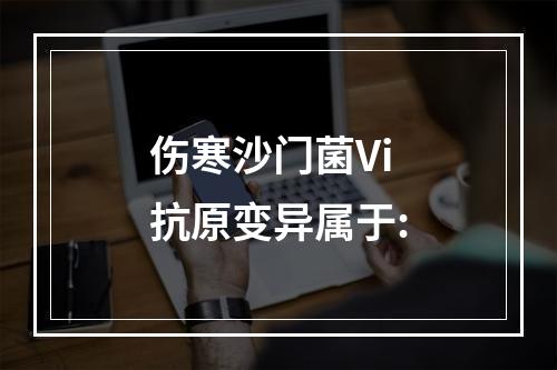 伤寒沙门菌Vi抗原变异属于: