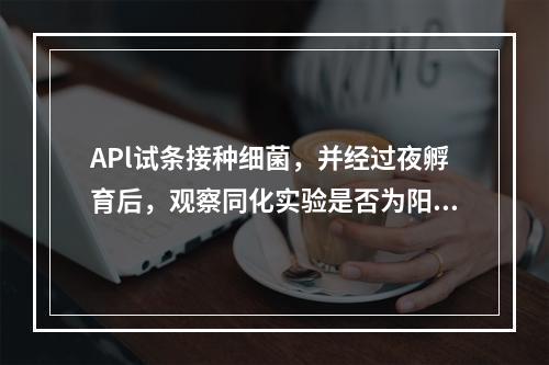 APl试条接种细菌，并经过夜孵育后，观察同化实验是否为阳性应