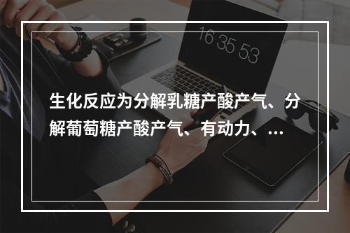 生化反应为分解乳糖产酸产气、分解葡萄糖产酸产气、有动力、不产