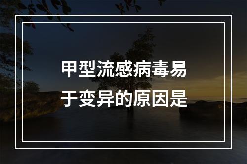 甲型流感病毒易于变异的原因是