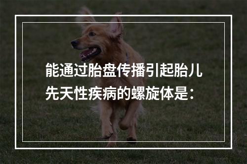 能通过胎盘传播引起胎儿先天性疾病的螺旋体是：