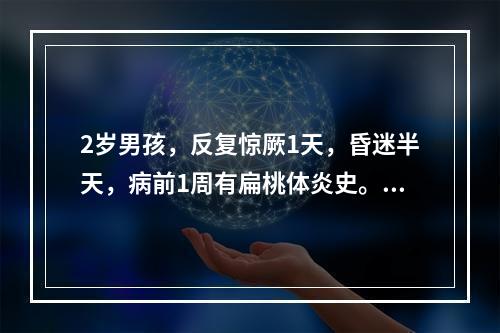 2岁男孩，反复惊厥1天，昏迷半天，病前1周有扁桃体炎史。查体