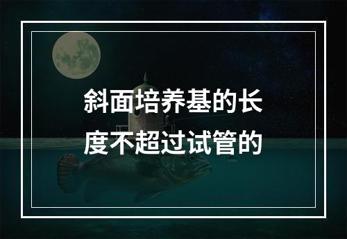 斜面培养基的长度不超过试管的