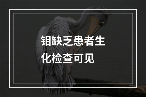 钼缺乏患者生化检查可见