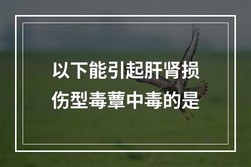 以下能引起肝肾损伤型毒蕈中毒的是