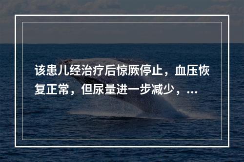 该患儿经治疗后惊厥停止，血压恢复正常，但尿量进一步减少，每日