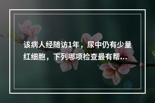 该病人经随访1年，尿中仍有少量红细胞，下列哪项检查最有帮助