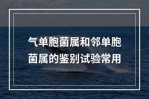 气单胞菌属和邻单胞菌属的鉴别试验常用