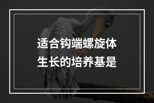 适合钩端螺旋体生长的培养基是