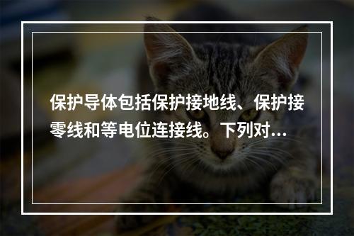 保护导体包括保护接地线、保护接零线和等电位连接线。下列对保护