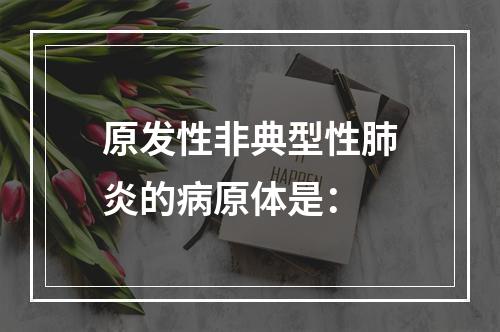 原发性非典型性肺炎的病原体是：