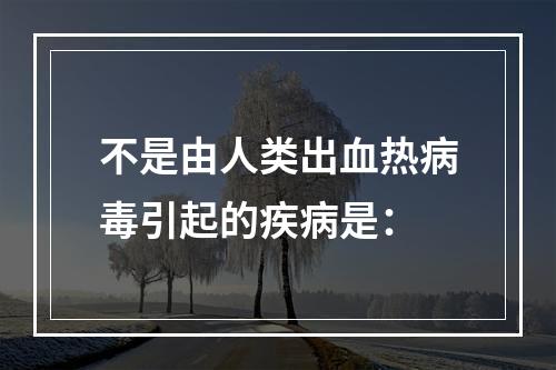 不是由人类出血热病毒引起的疾病是：