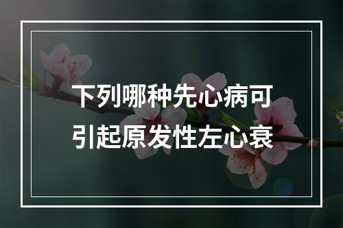 下列哪种先心病可引起原发性左心衰