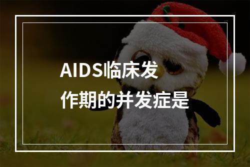 AIDS临床发作期的并发症是