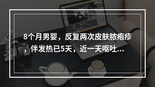 8个月男婴，反复两次皮肤脓疱疹，伴发热已5天，近一天呕吐，呈