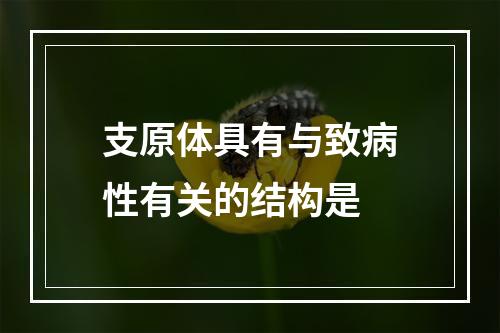 支原体具有与致病性有关的结构是