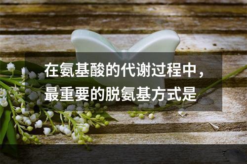 在氨基酸的代谢过程中，最重要的脱氨基方式是