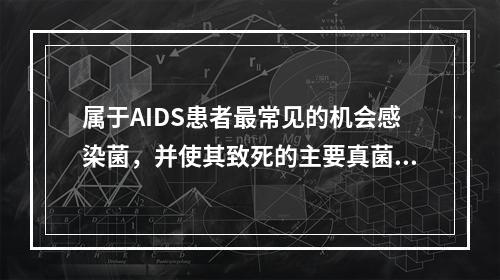 属于AIDS患者最常见的机会感染菌，并使其致死的主要真菌是