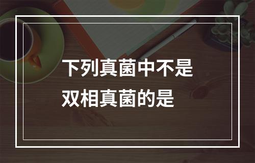 下列真菌中不是双相真菌的是