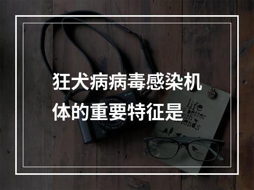 狂犬病病毒感染机体的重要特征是