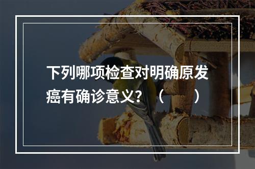 下列哪项检查对明确原发癌有确诊意义？（　　）