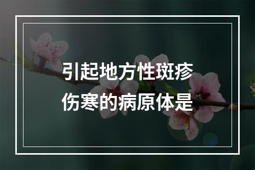 引起地方性斑疹伤寒的病原体是