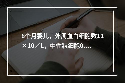 8个月婴儿，外周血白细胞数11×10／L，中性粒细胞0.70