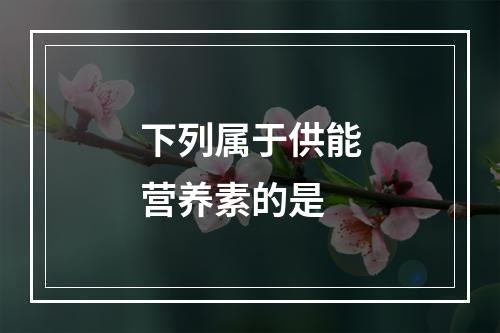 下列属于供能营养素的是