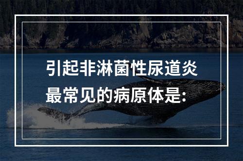 引起非淋菌性尿道炎最常见的病原体是: