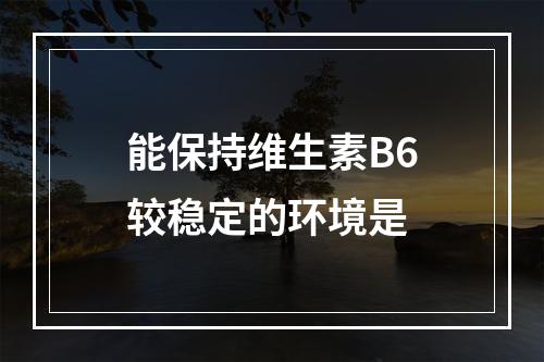 能保持维生素B6较稳定的环境是