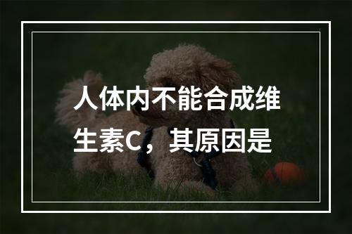 人体内不能合成维生素C，其原因是