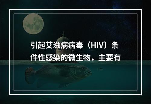 引起艾滋病病毒（HIV〕条件性感染的微生物，主要有