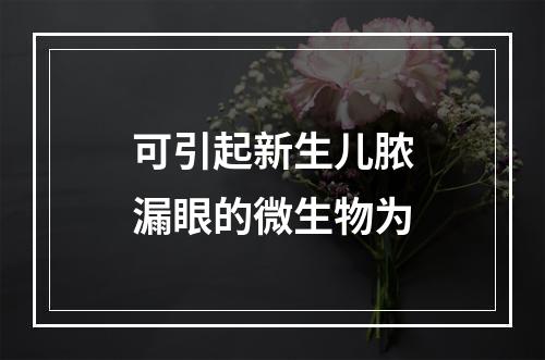 可引起新生儿脓漏眼的微生物为